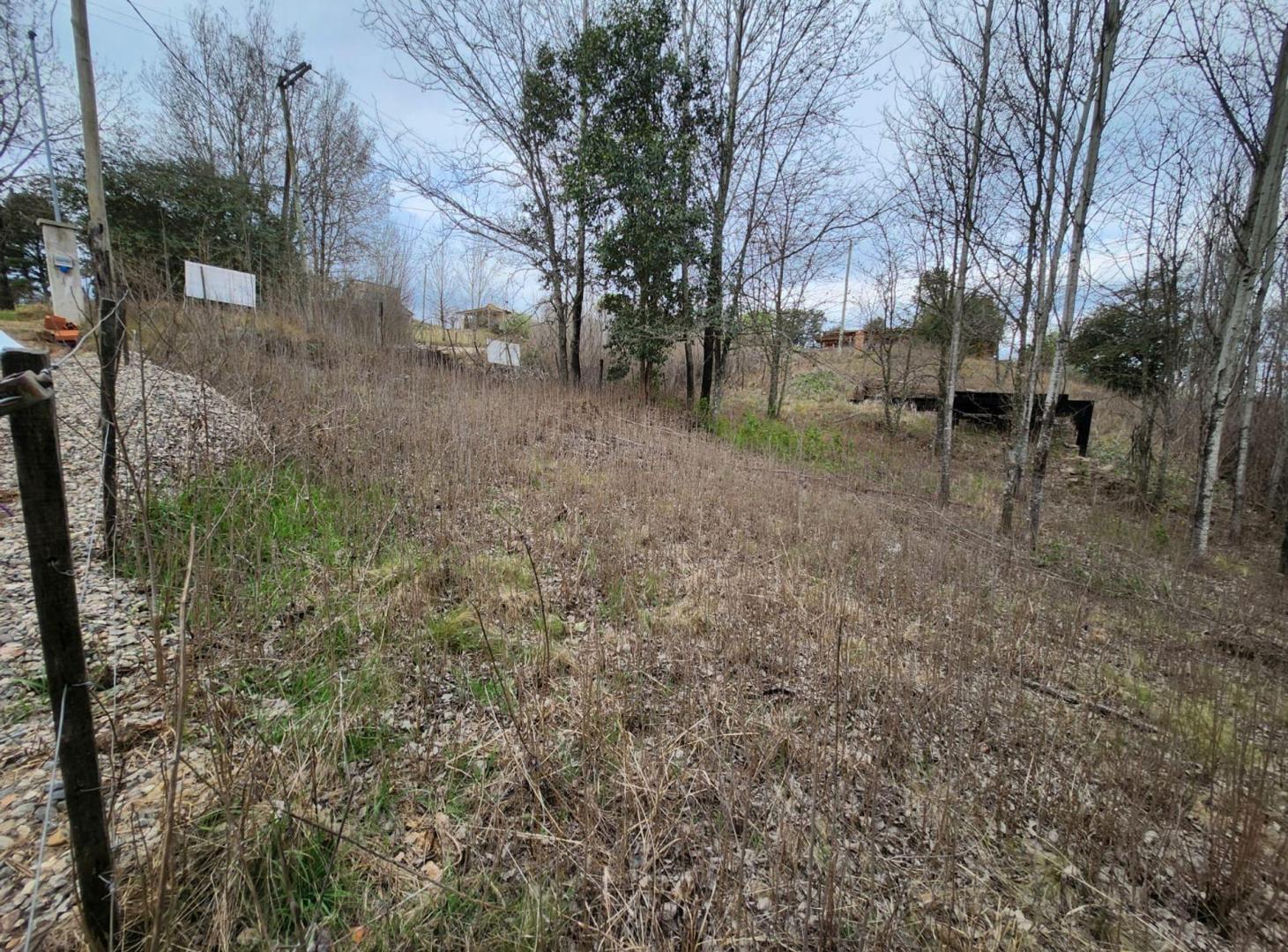 Foto de VENTA LOTE YACANTO CALAMUCHITA CORDOBA 600M2, imagen 4