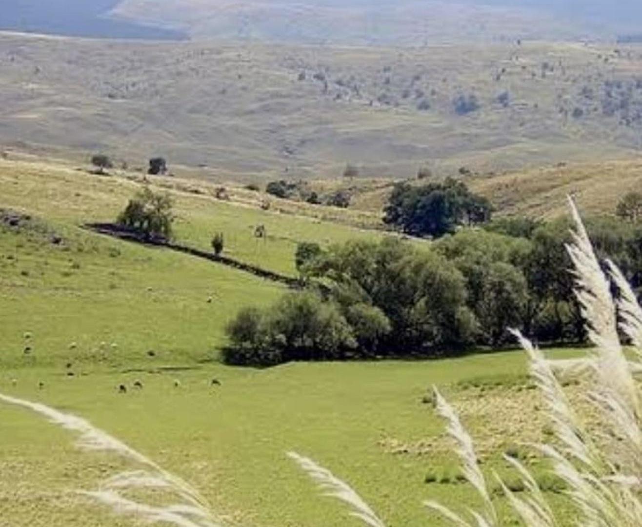 Foto de VENTA LOTE YACANTO CALAMUCHITA CORDOBA 600M2, imagen 1