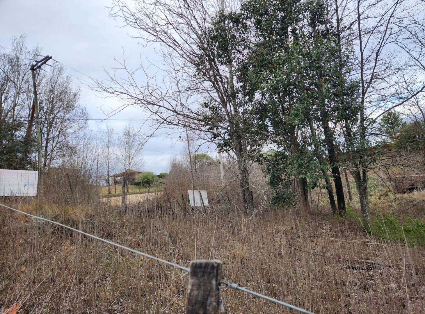 Foto de VENTA LOTE YACANTO CALAMUCHITA CORDOBA 600M2, imagen 2