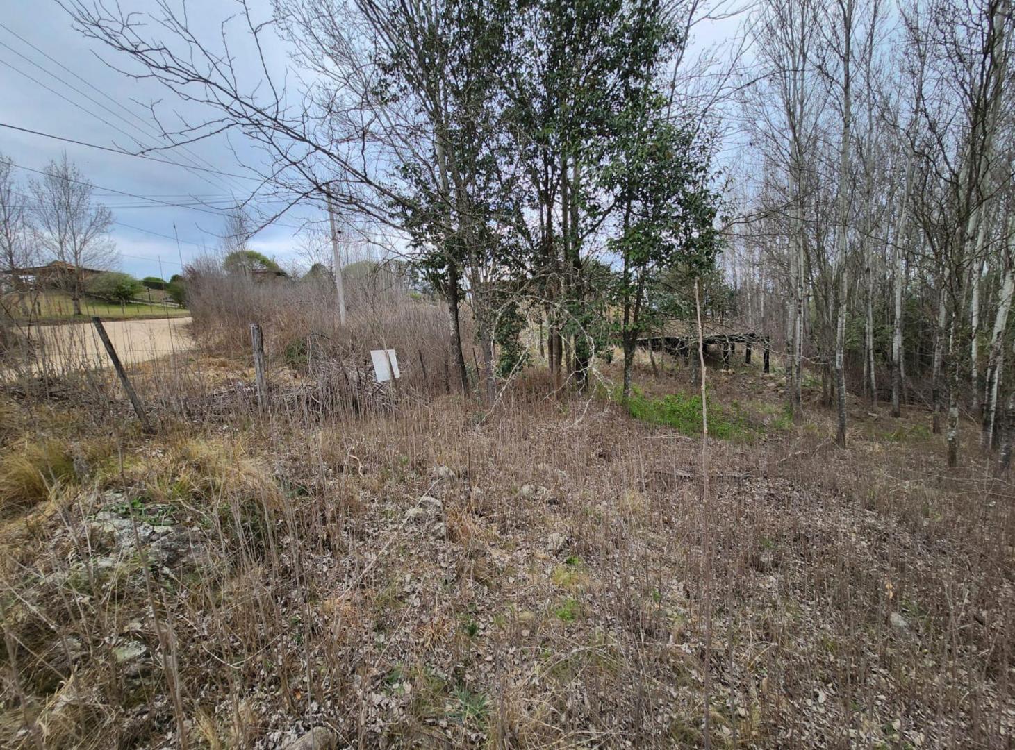 Foto de VENTA LOTE YACANTO CALAMUCHITA CORDOBA 600M2, imagen 5