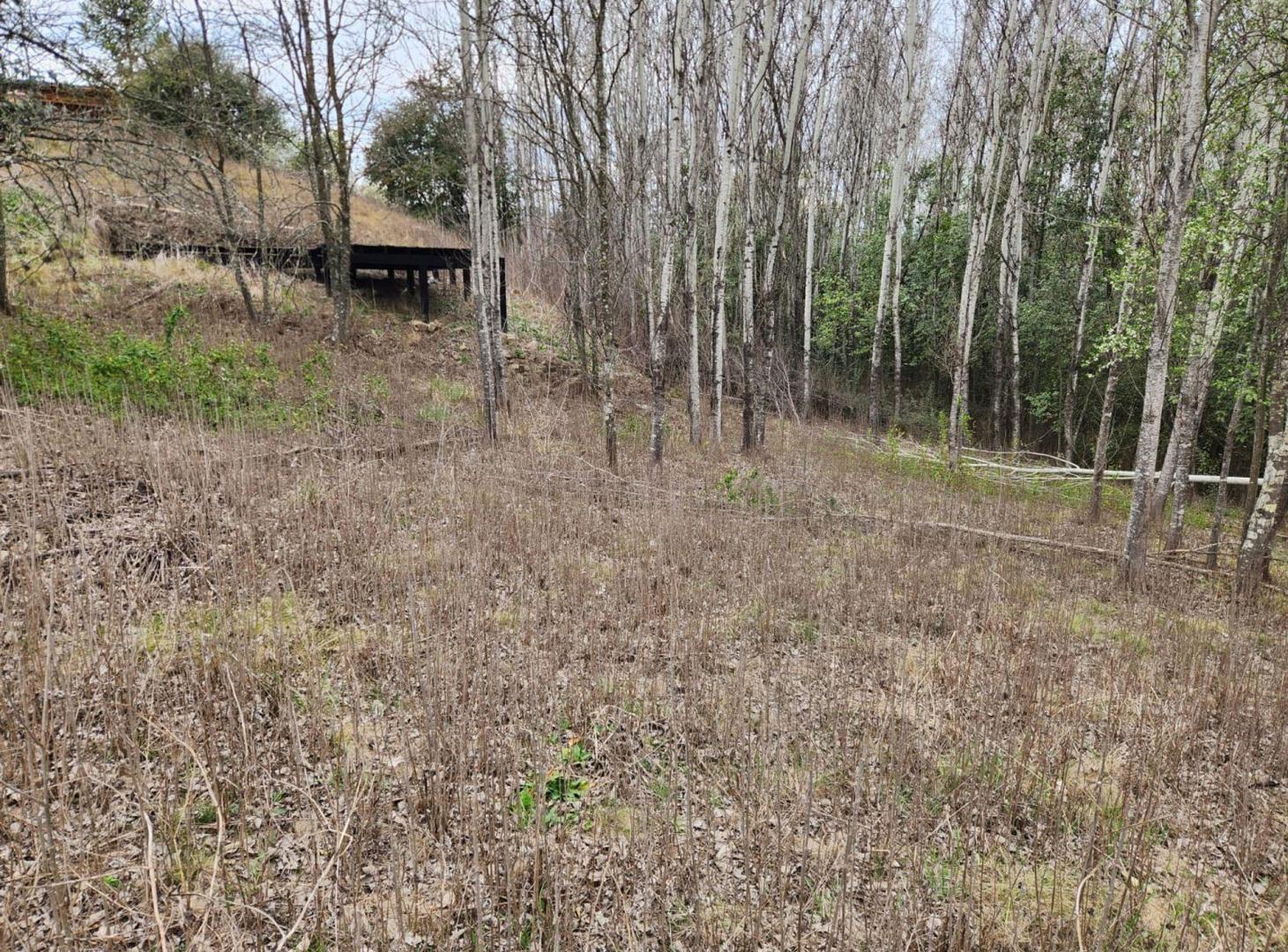 Foto de VENTA LOTE YACANTO CALAMUCHITA CORDOBA 600M2, imagen 3