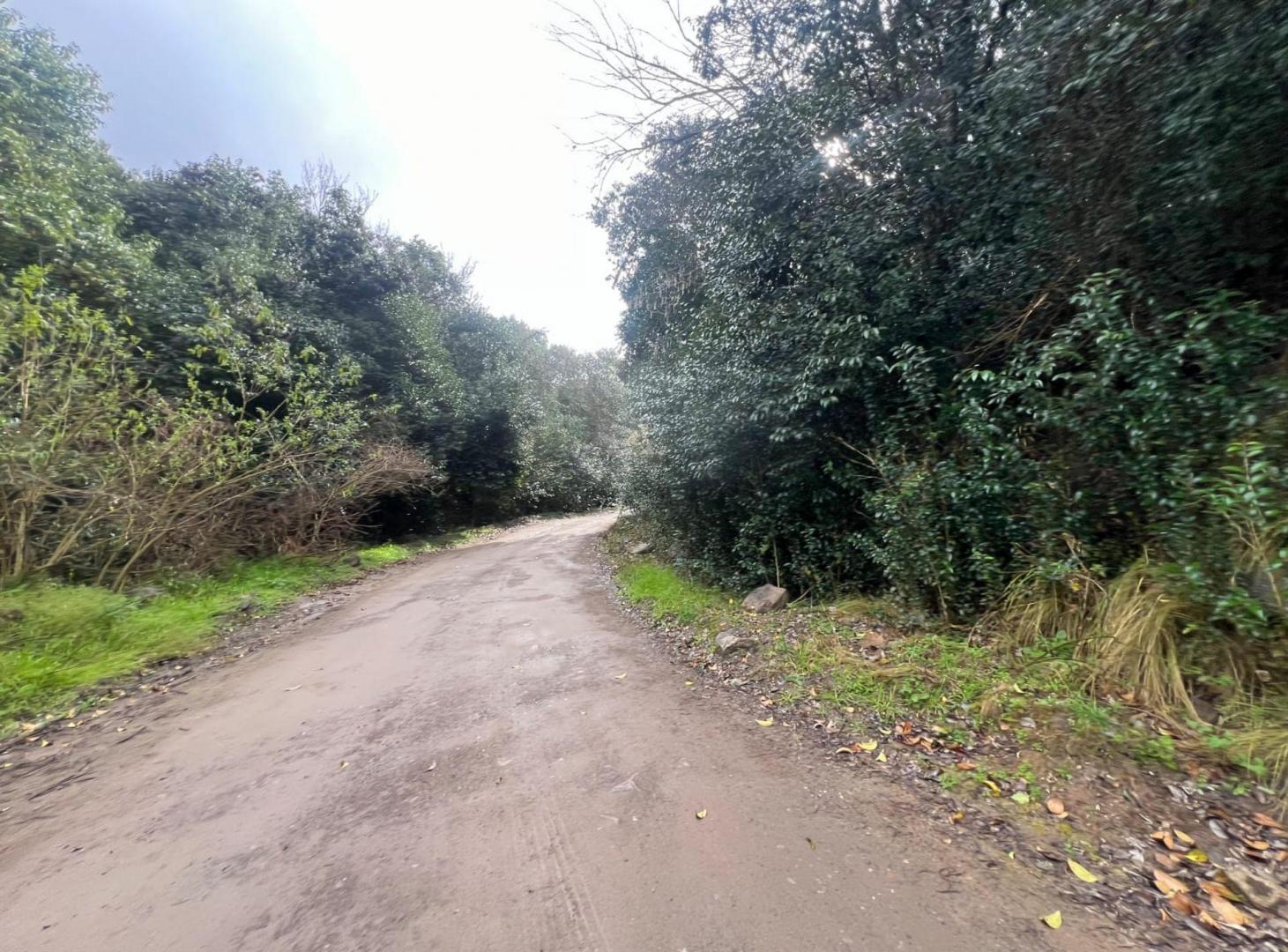 Foto de VENTA HERMOSO TERRENO CON VISTAS RIO CEBALLOS, imagen 5