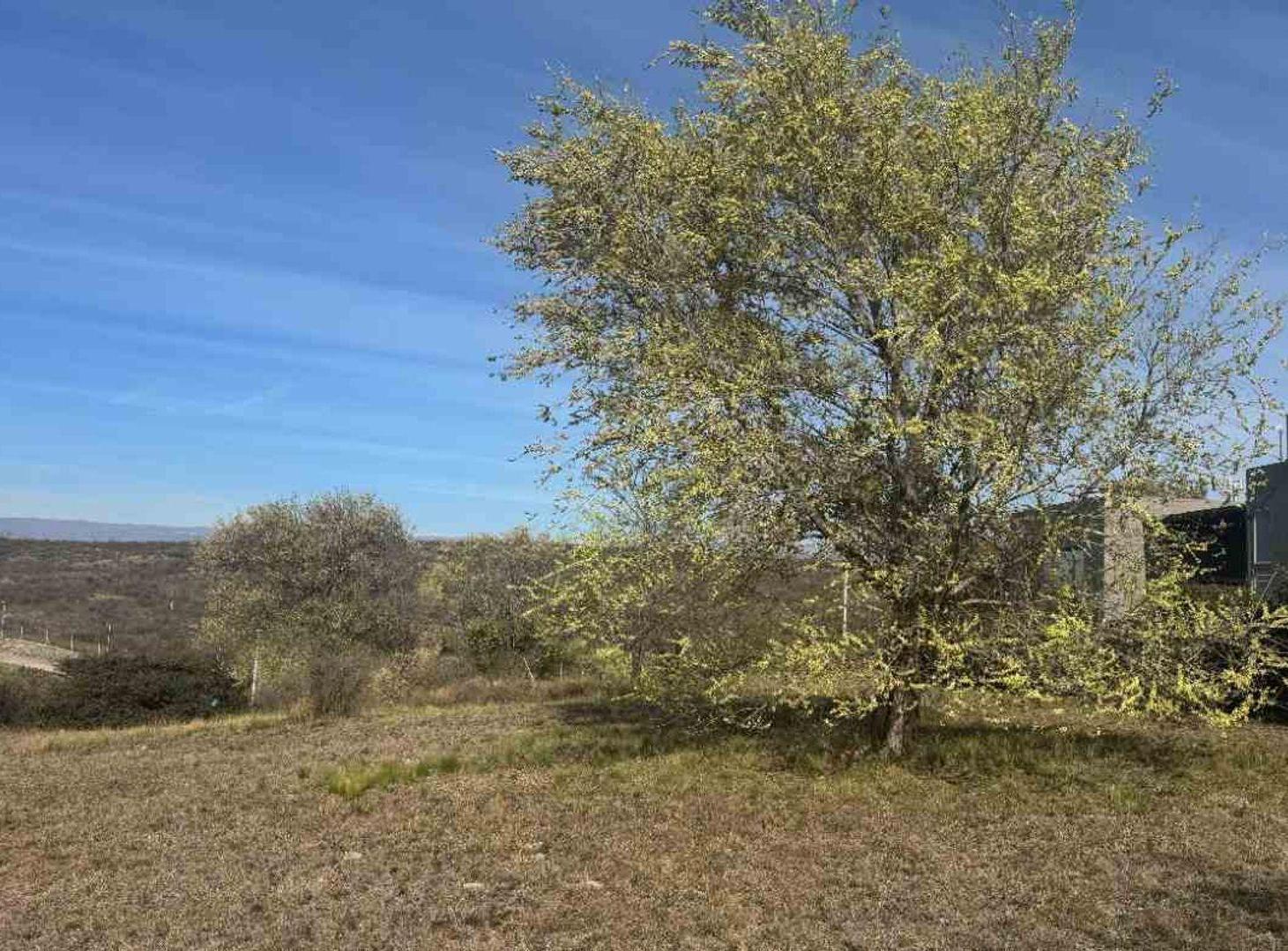 Foto de Lote en Venta Country Alto San Antonio Carlos Paz, imagen 3