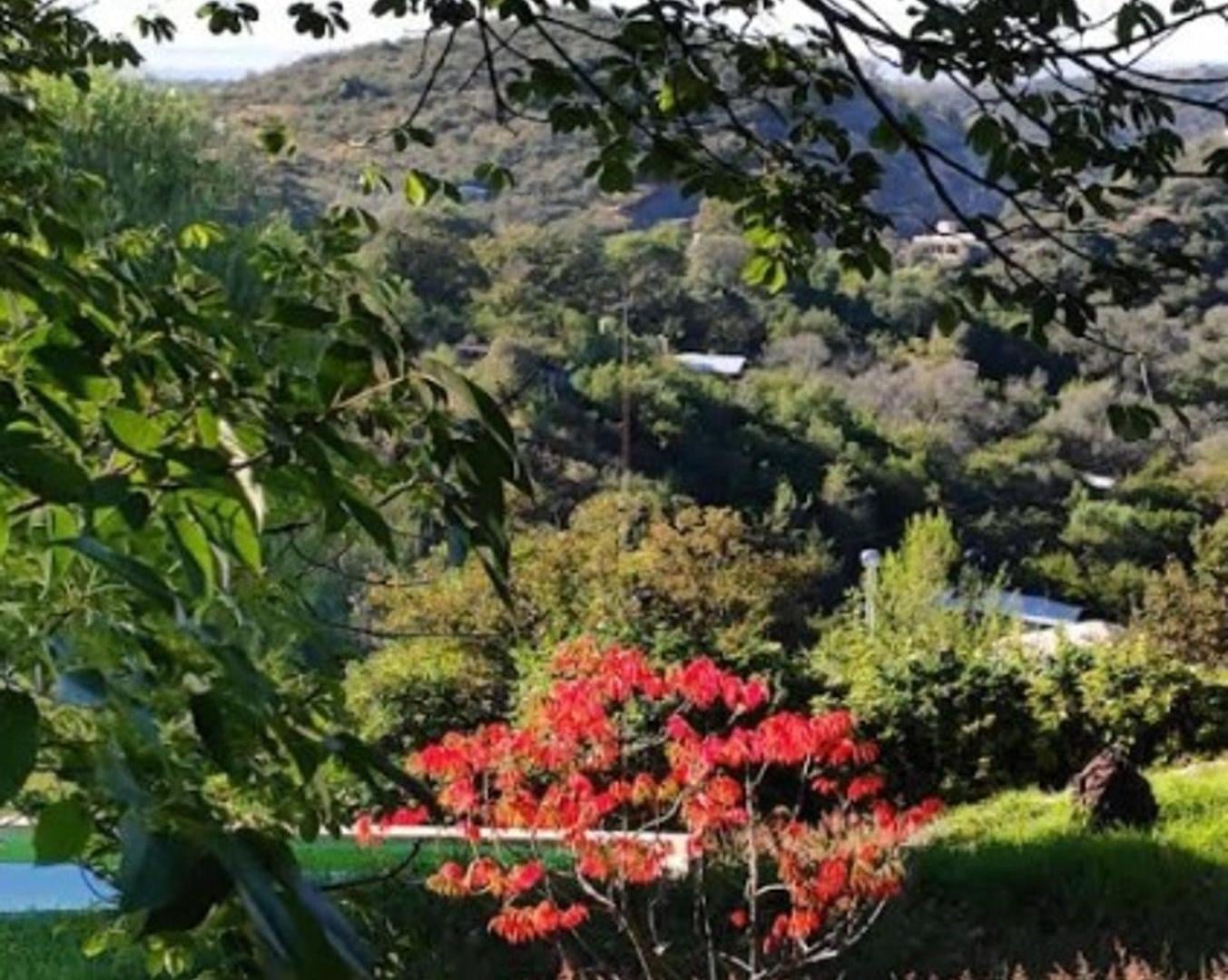 Foto de SE VENDE GRAN TERRENO DE 1265 m2 EN LA SERRANITA, imagen 5