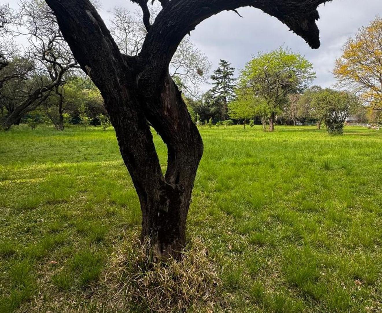 Foto de VENTA LOTE CALLE TERUEL 560 VILLA ALLENDE GOLF, imagen 5