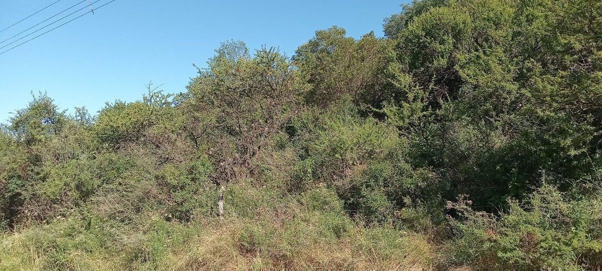 Foto de VENTA DE TERRENO DE 1700m CAPILLA DEL MONTE, imagen 3