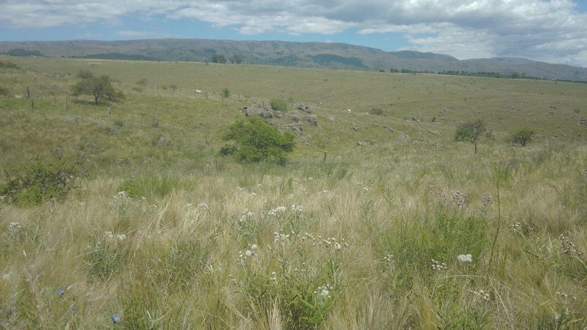 Foto de VENDO TERRENO 420M2 EN PAMPA ALTA POTRERO DE GARAY, imagen 2
