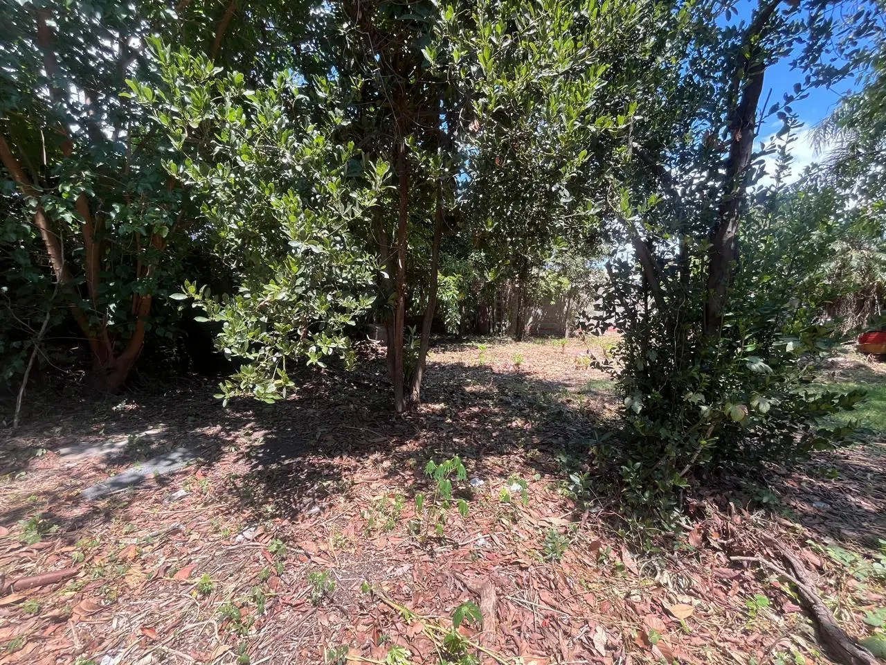VENTA - Terreno sobre Av. Nuestra señora del Rosario 229. Saladillo , Rosario. 4