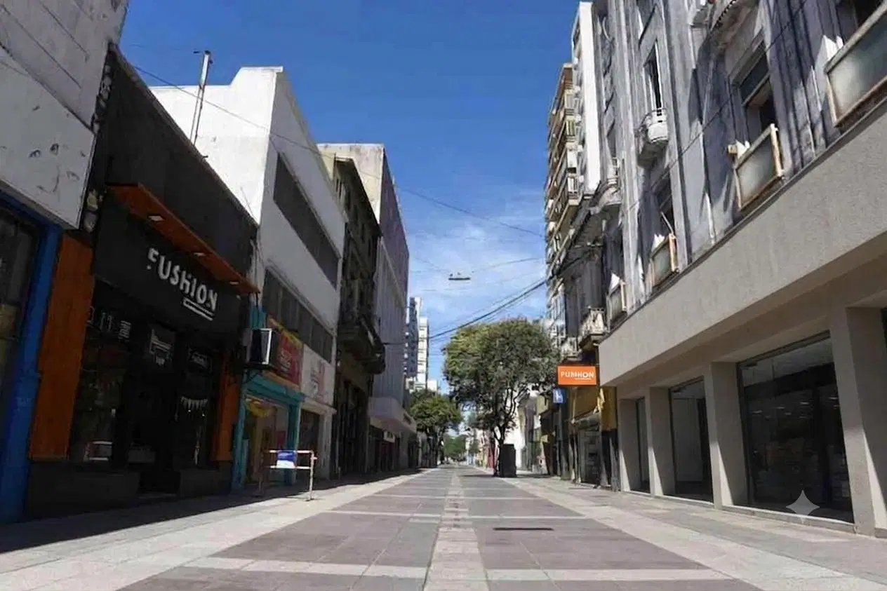VENTA - Local Comercial sobre peatonal San Martin. Rosario, Centro. 4