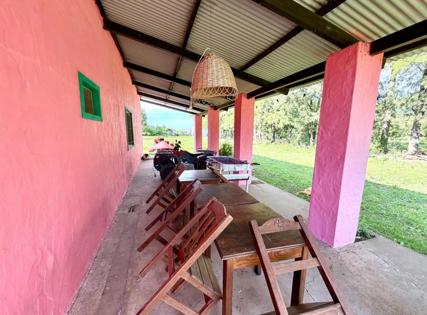 Foto de VENTA - Campo 10 Ha Suelo Clase 1 - San Pedro, Bs As, imagen 3
