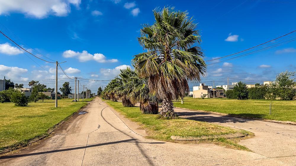 Foto de Venta - Terreno 426m2 - Servicios - Barrio El Molino, Roldan, imagen 5