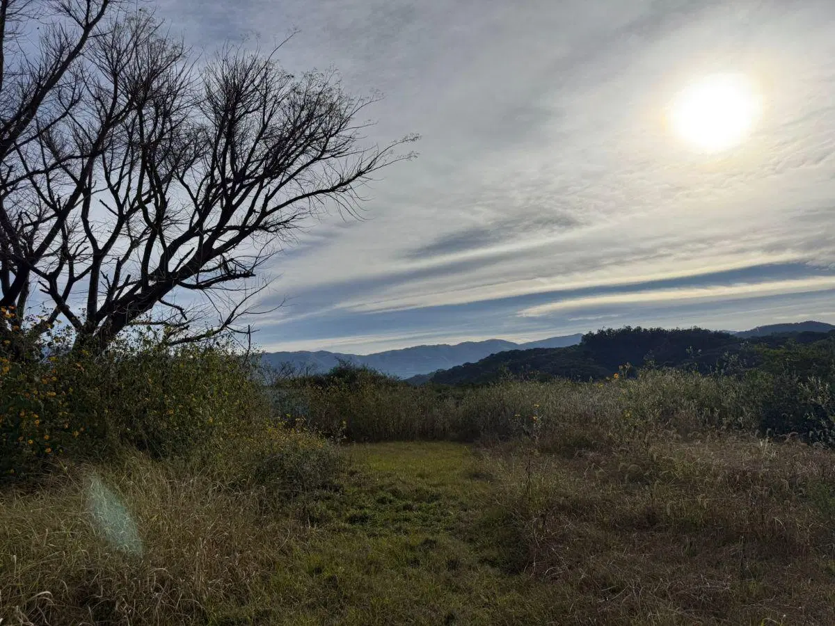 Vendo terreno en San Luis 1