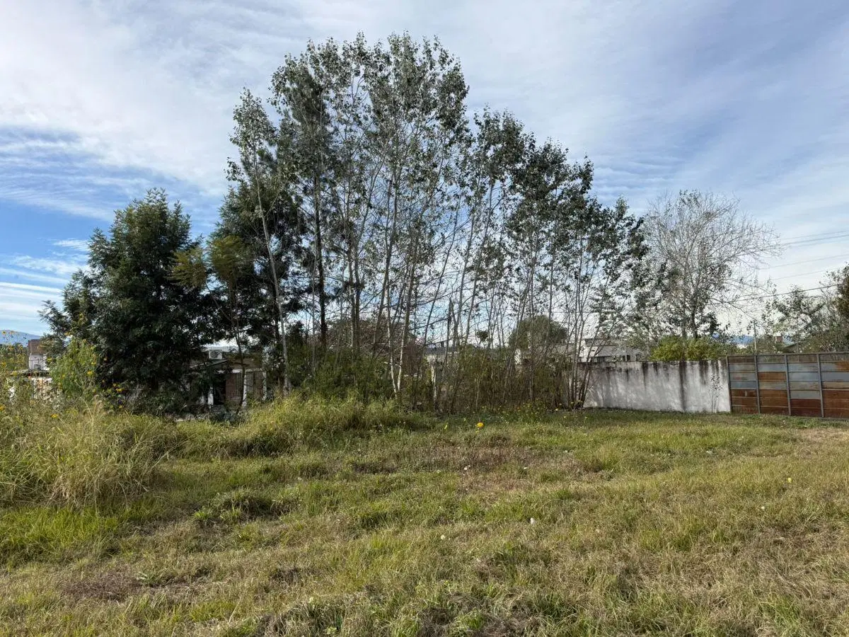 Vendo terreno en San Luis 3