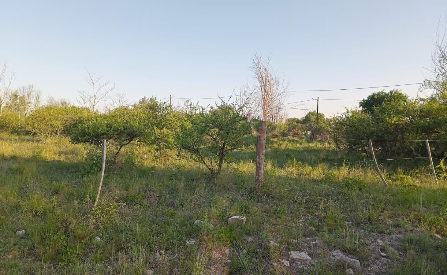 Foto de Terreno en Solara de las Sierras, imagen 4