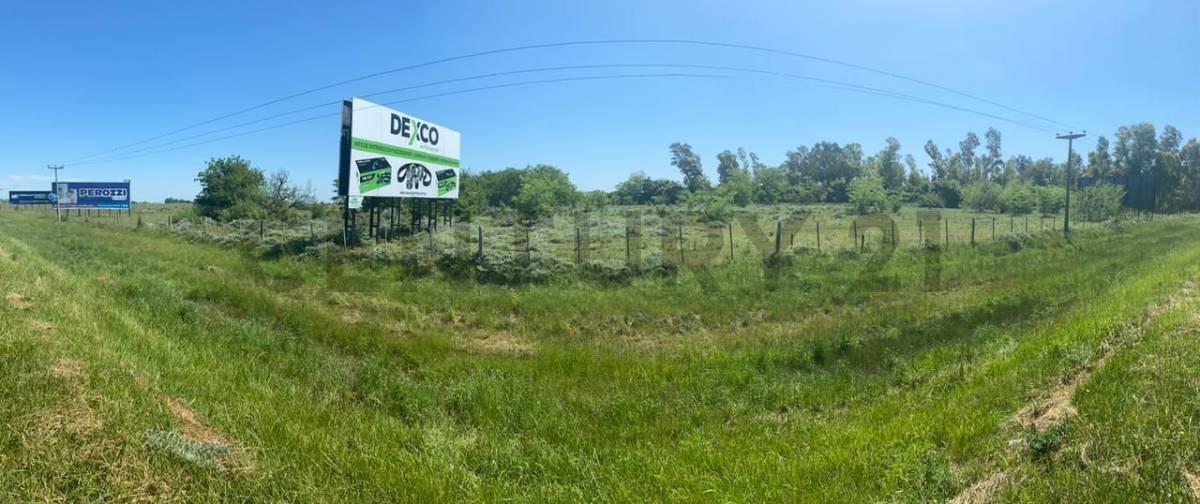 Foto de Campo en venta, imagen 1