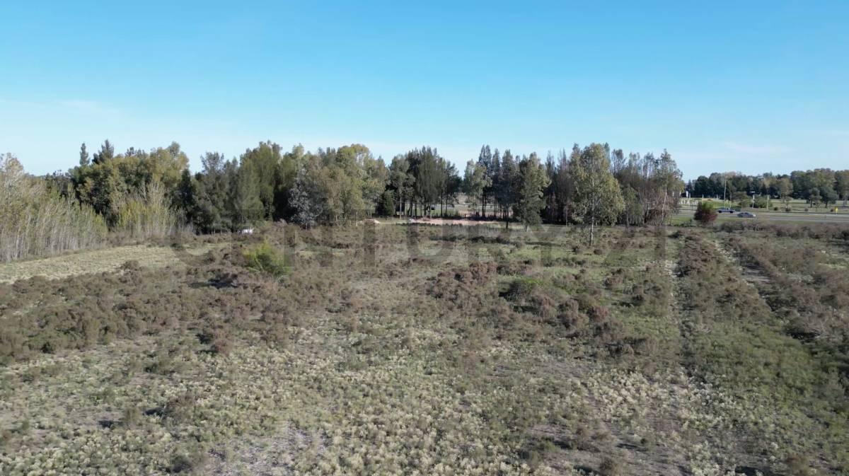 Foto de Lote / Terreno en Venta, La Plata, Etcheverry., imagen 4