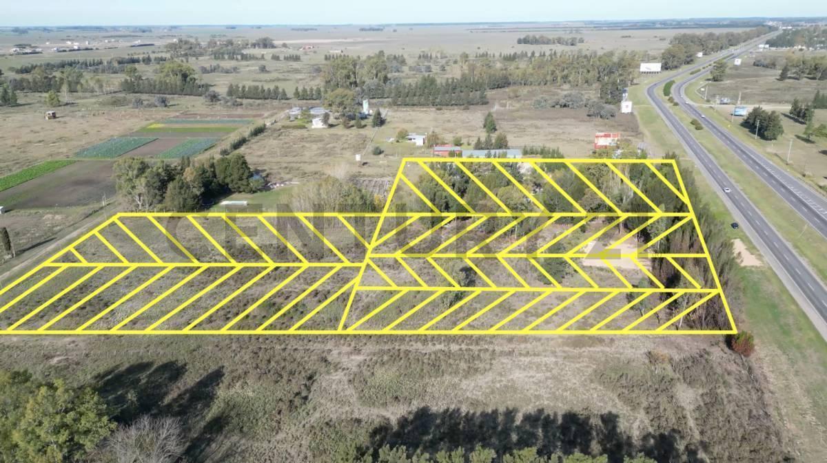Foto de Lote / Terreno en Venta, La Plata, Etcheverry., imagen 5