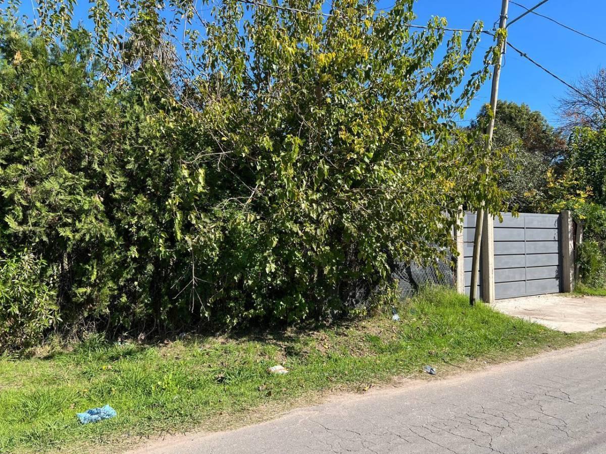 Foto de Lotes en venta en Villa Elvira – La Plata, imagen 3