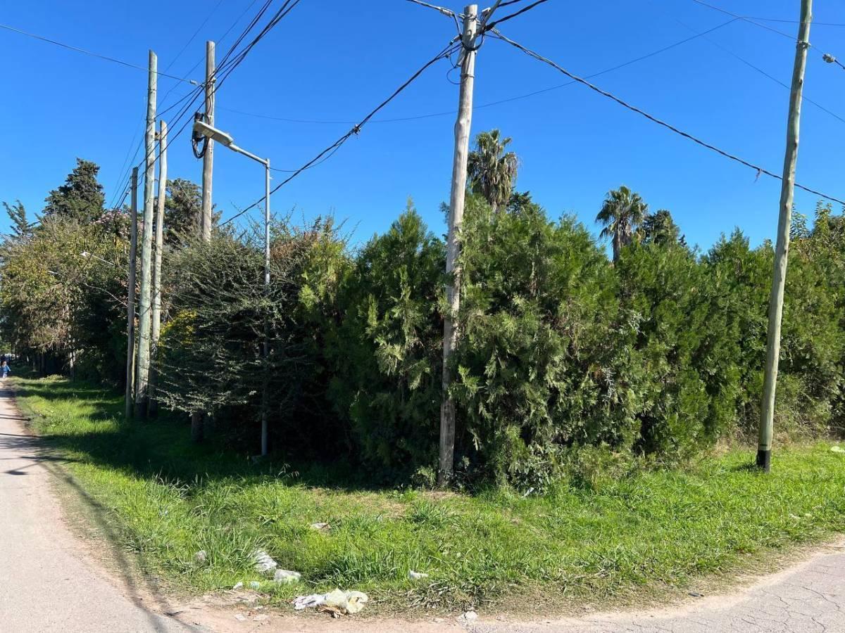 Foto de Lotes en venta en Villa Elvira – La Plata, imagen 5