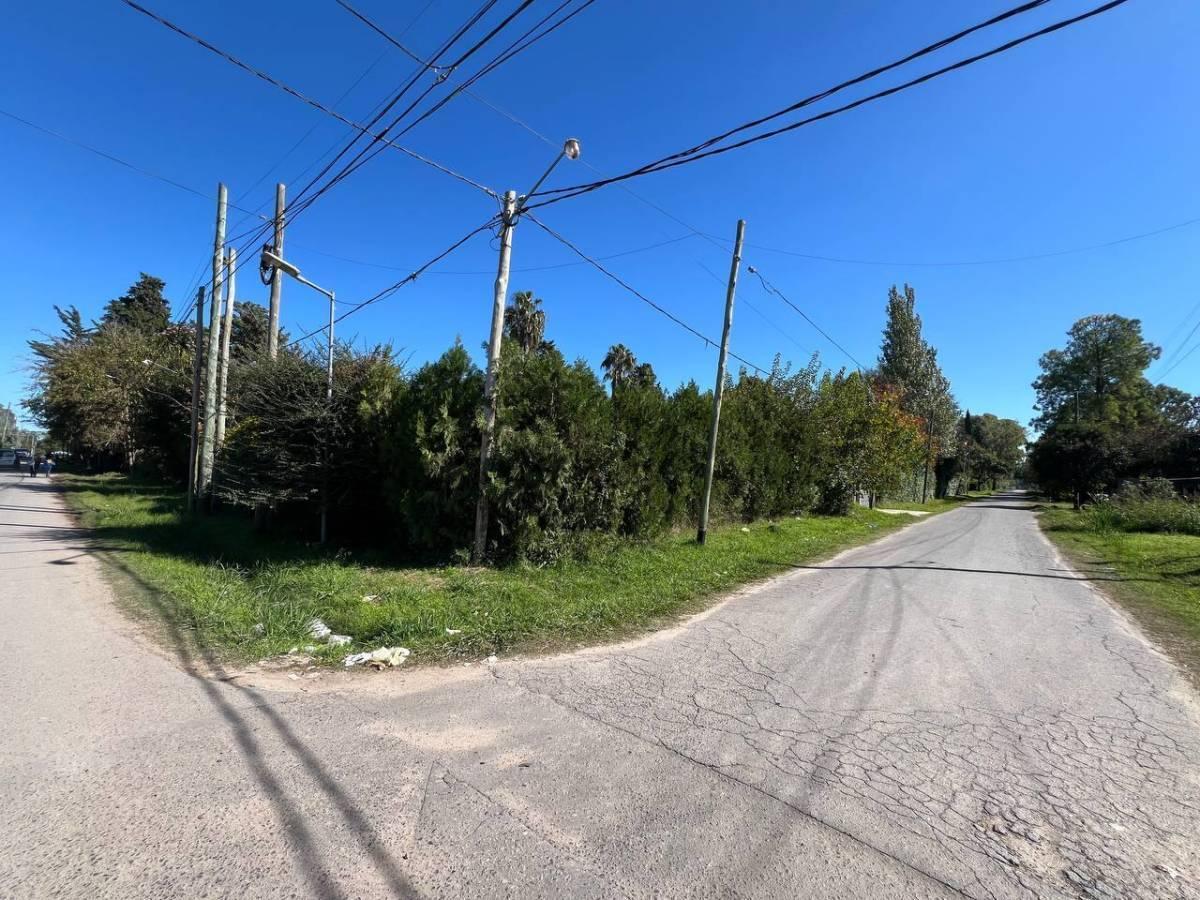 Foto de Lotes en venta en Villa Elvira – La Plata, imagen 1