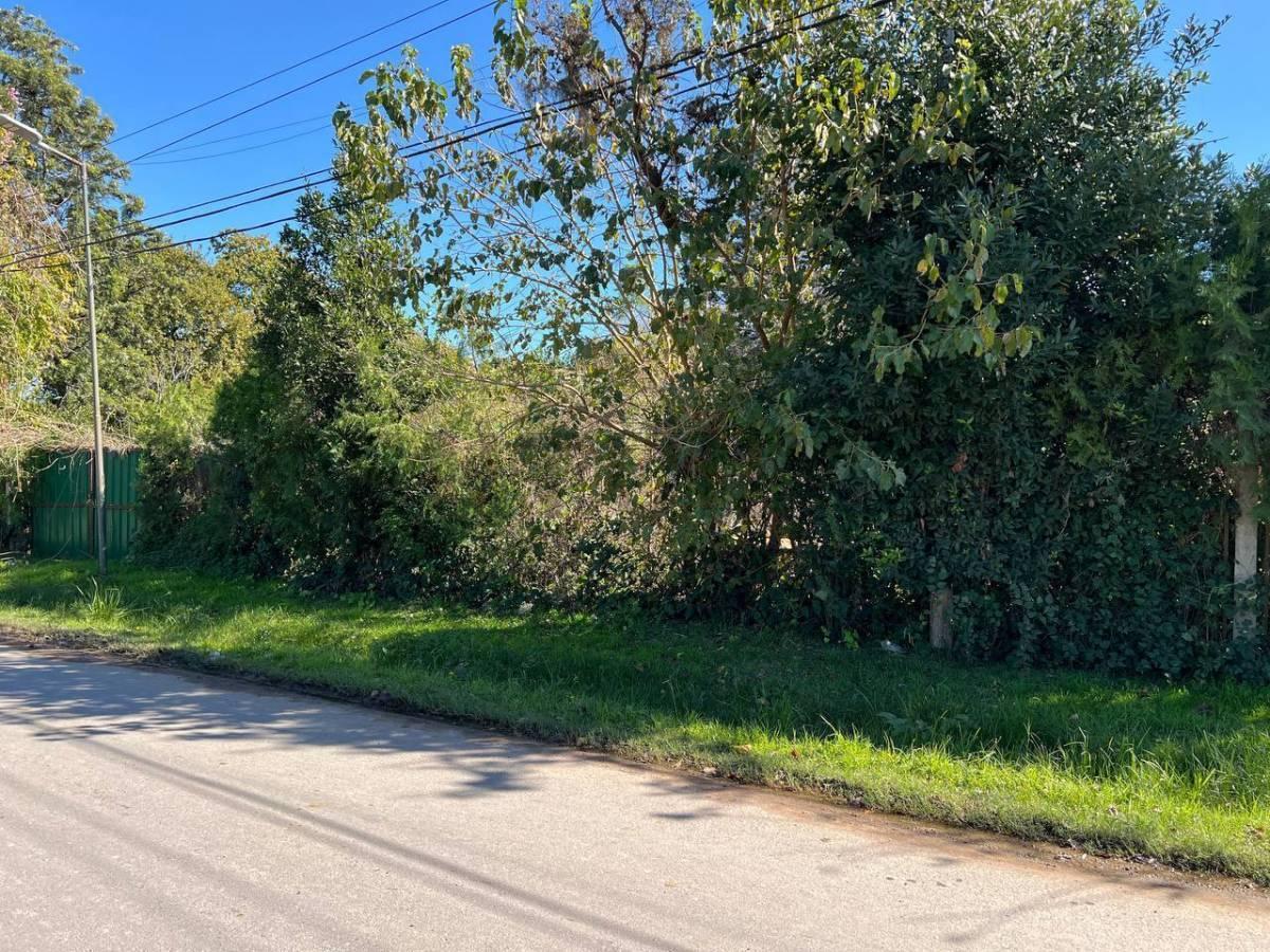 Foto de Lotes en venta en Villa Elvira – La Plata, imagen 5