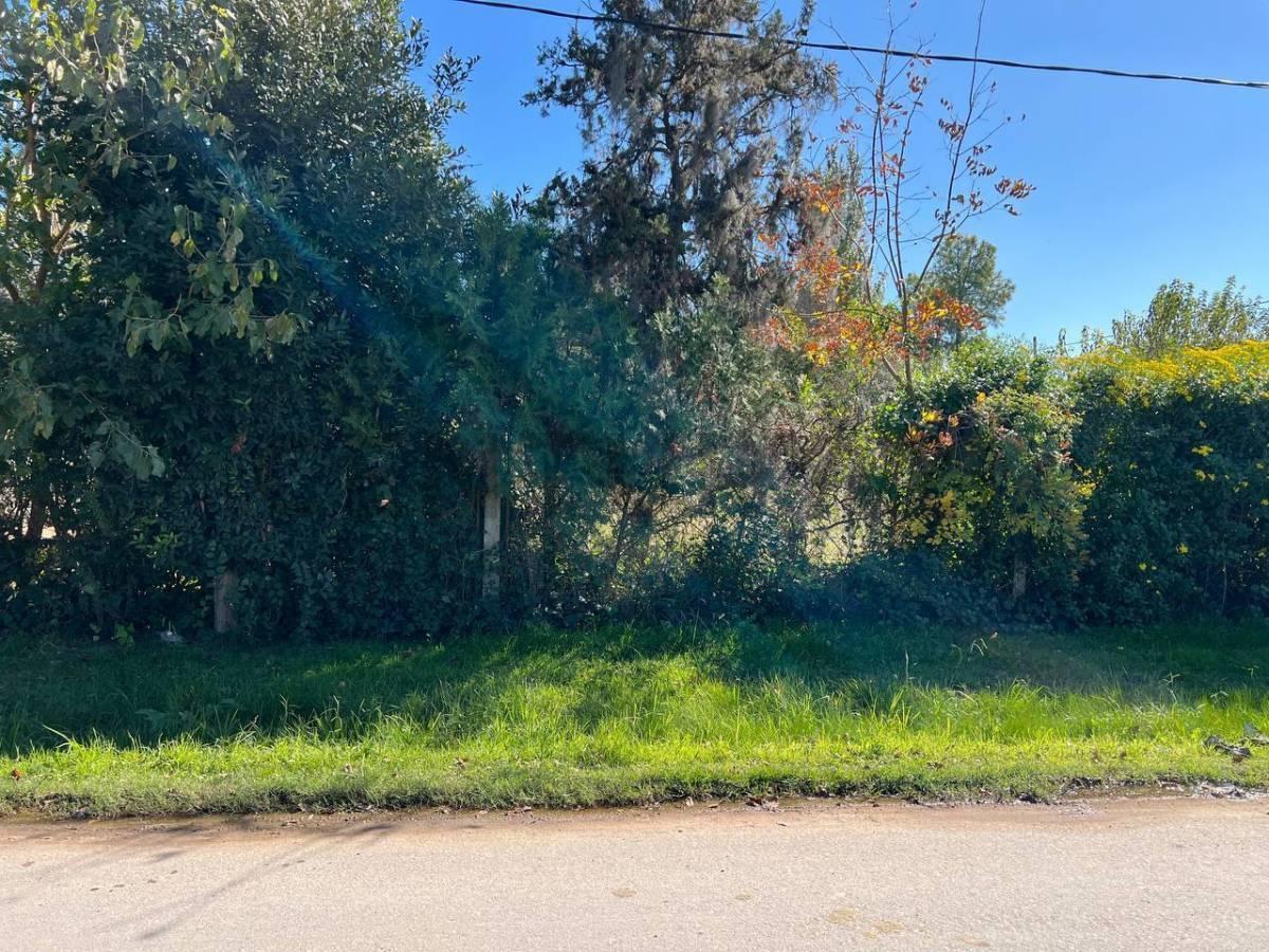 Foto de Lotes en venta en Villa Elvira – La Plata, imagen 3