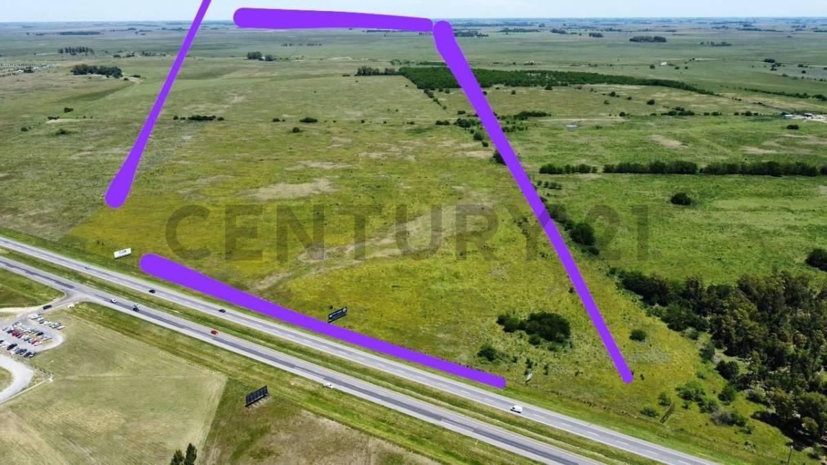 Foto de Campo en venta, imagen 5