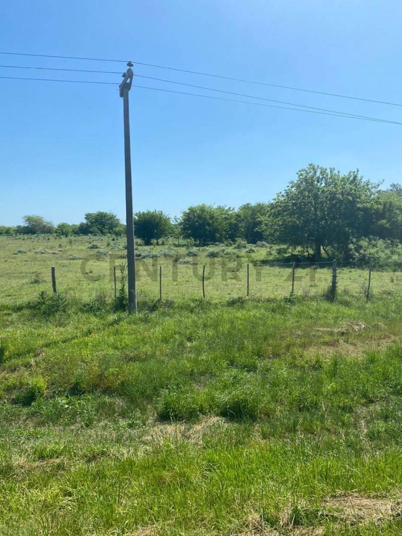 Foto de Campo en venta, imagen 2