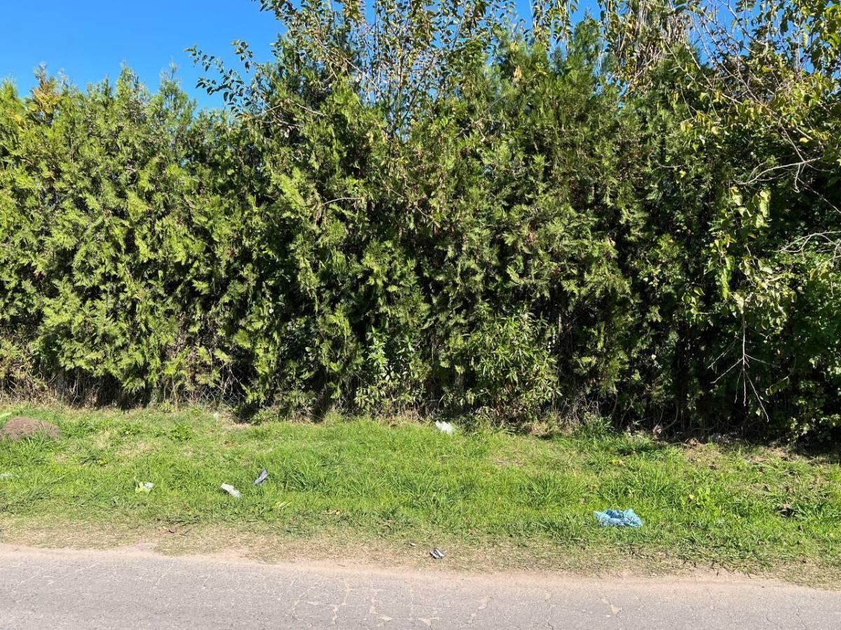 Foto de Venta en bloque – 3 lotes linderos en Villa Elvira, La Plata, imagen 3