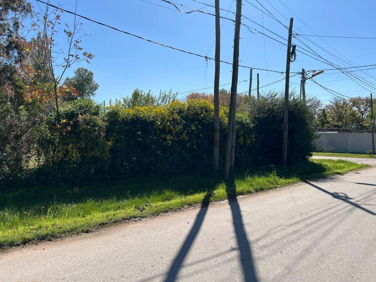 Foto de Venta en bloque – 3 lotes linderos en Villa Elvira, La Plata, imagen 1