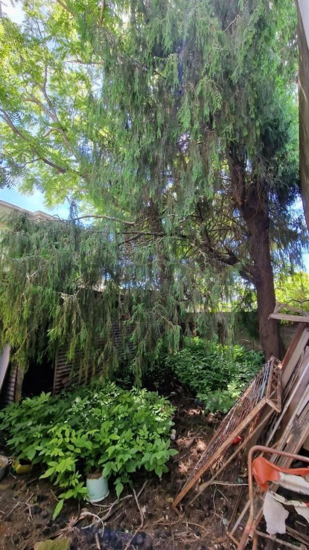Foto de Lote en venta, imagen 3