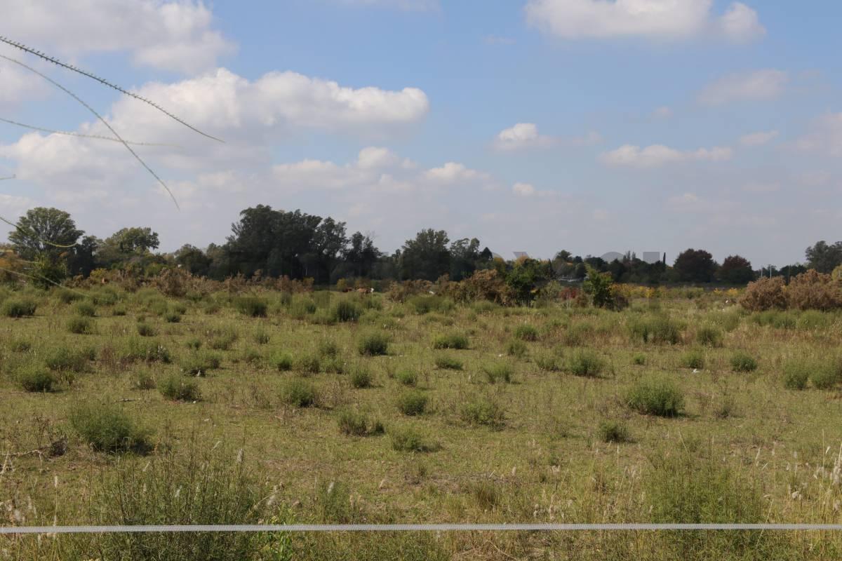 Foto de LOTES CON FRENTE A CALLE 419 (AV. ARANA) EN VENTA, imagen 4