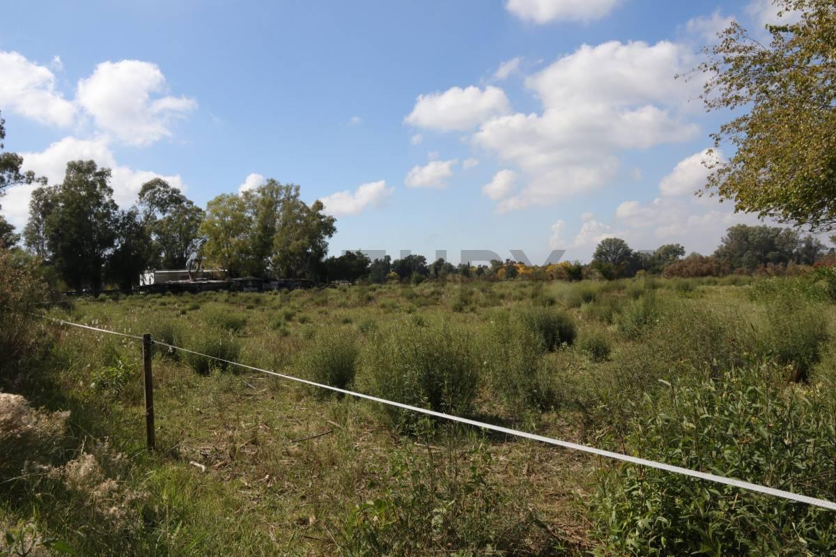 Foto de LOTES CON FRENTE A CALLE 419 (AV. ARANA) EN VENTA, imagen 2