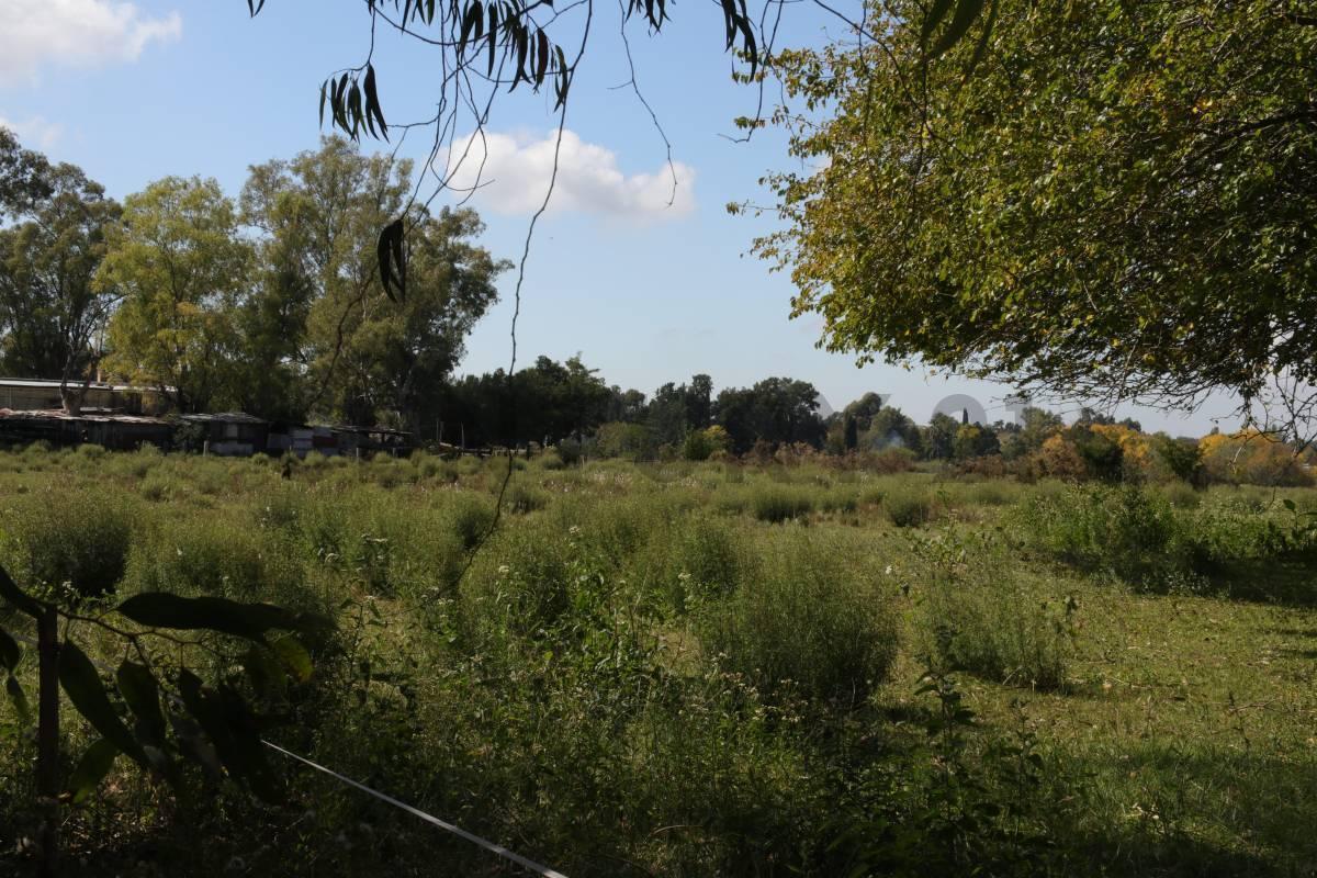 Foto de LOTES CON FRENTE A CALLE 419 (AV. ARANA) EN VENTA, imagen 3