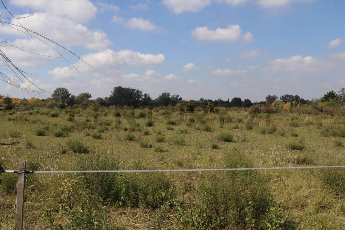Foto de LOTES CON FRENTE A CALLE 419 (AV. ARANA) EN VENTA, imagen 1