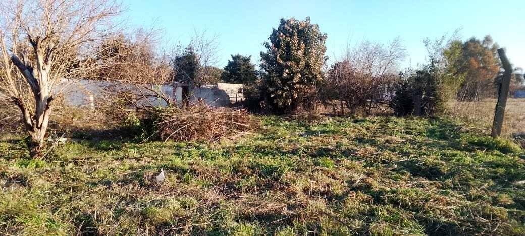 Foto de Lote en venta en Hernandez, imagen 2
