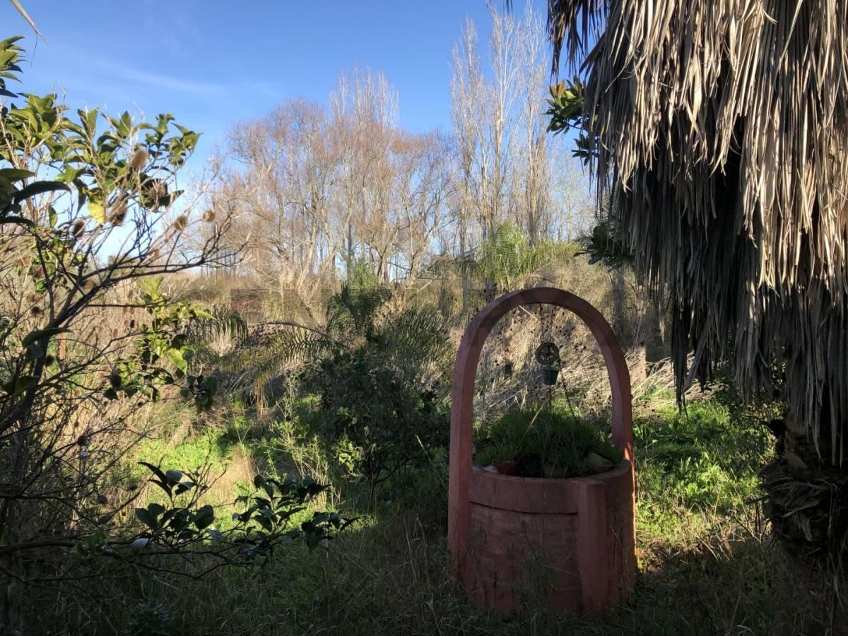 Foto de VENTA CASA QUINTA CAMPO 2,5 HECTAREAS, LOS TALAS, BERISSO, imagen 5