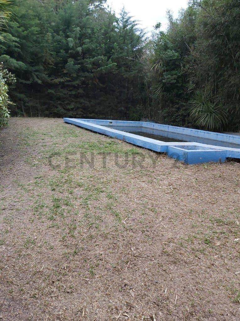 Foto de VENTA CASA QUINTA CAMPO 2,5 HECTAREAS, LOS TALAS, BERISSO, imagen 3