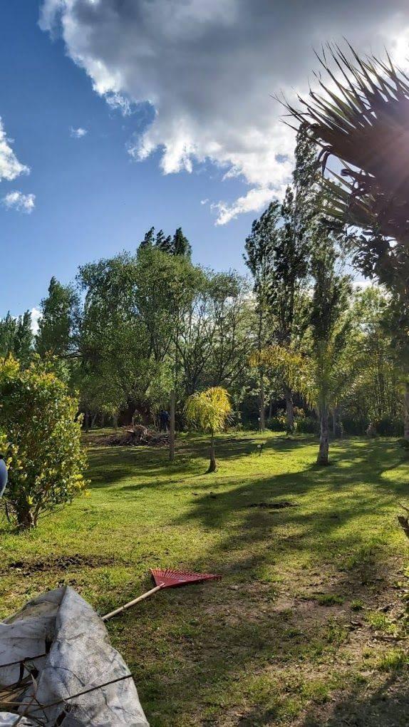 Foto de VENTA CASA QUINTA CAMPO 2,5 HECTAREAS, LOS TALAS, BERISSO, imagen 4