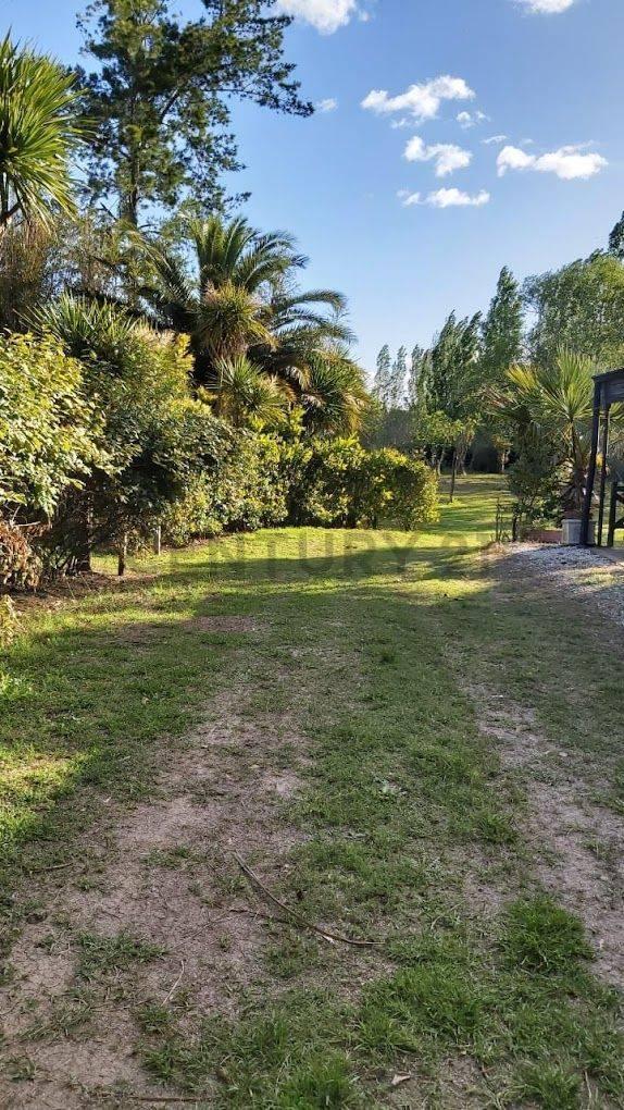 Foto de VENTA CASA QUINTA CAMPO 2,5 HECTAREAS, LOS TALAS, BERISSO, imagen 1