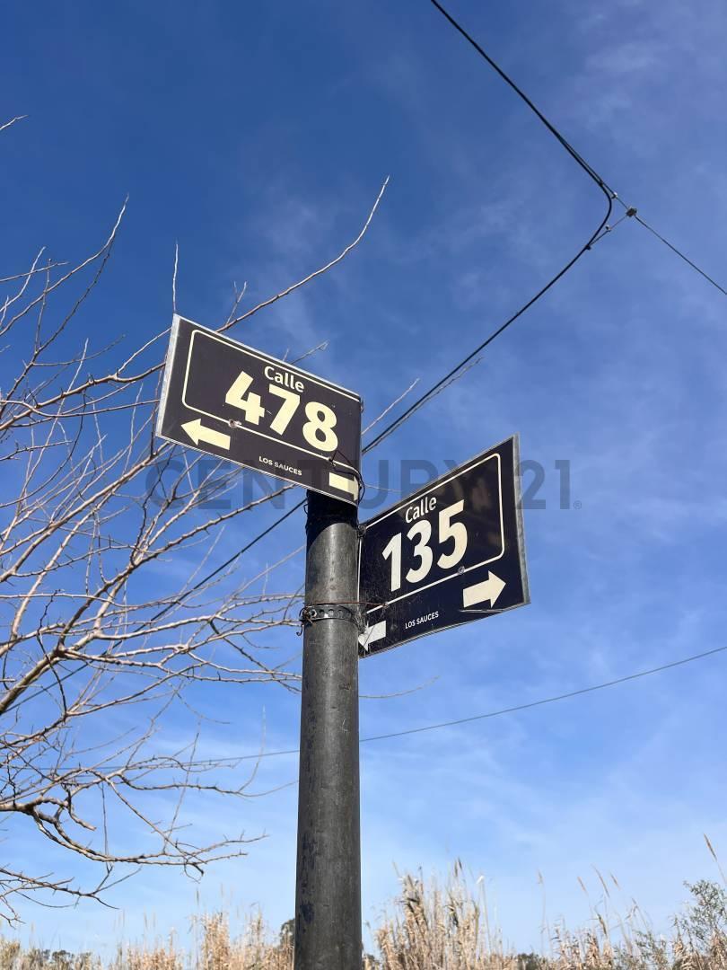 Foto de Terreno en venta BARRIO LOS SAUCES, GORINA - zona de expansión, imagen 4