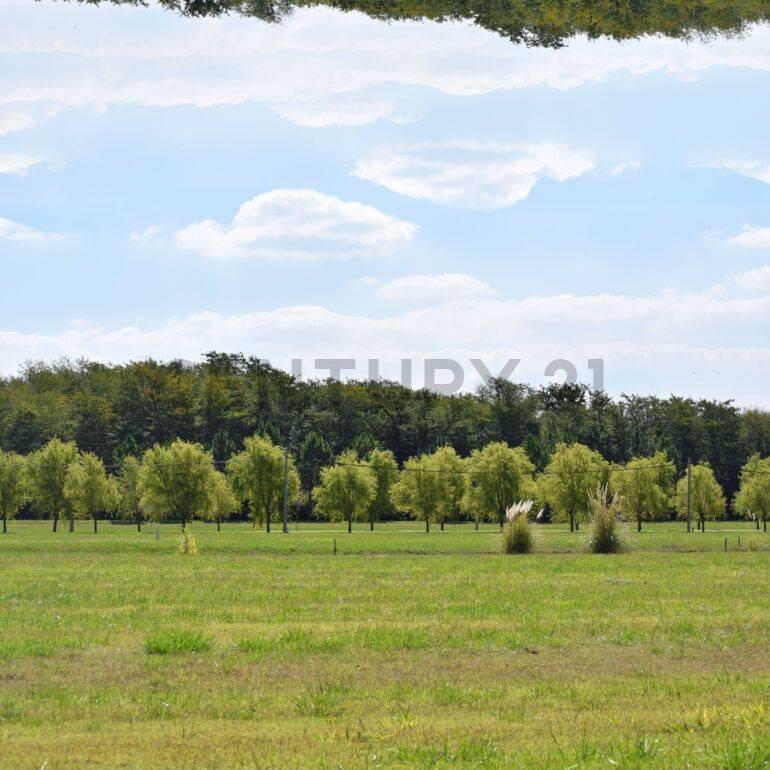 Foto de VENTA DE LOTE CAMPOS DE ROCA 2, imagen 2
