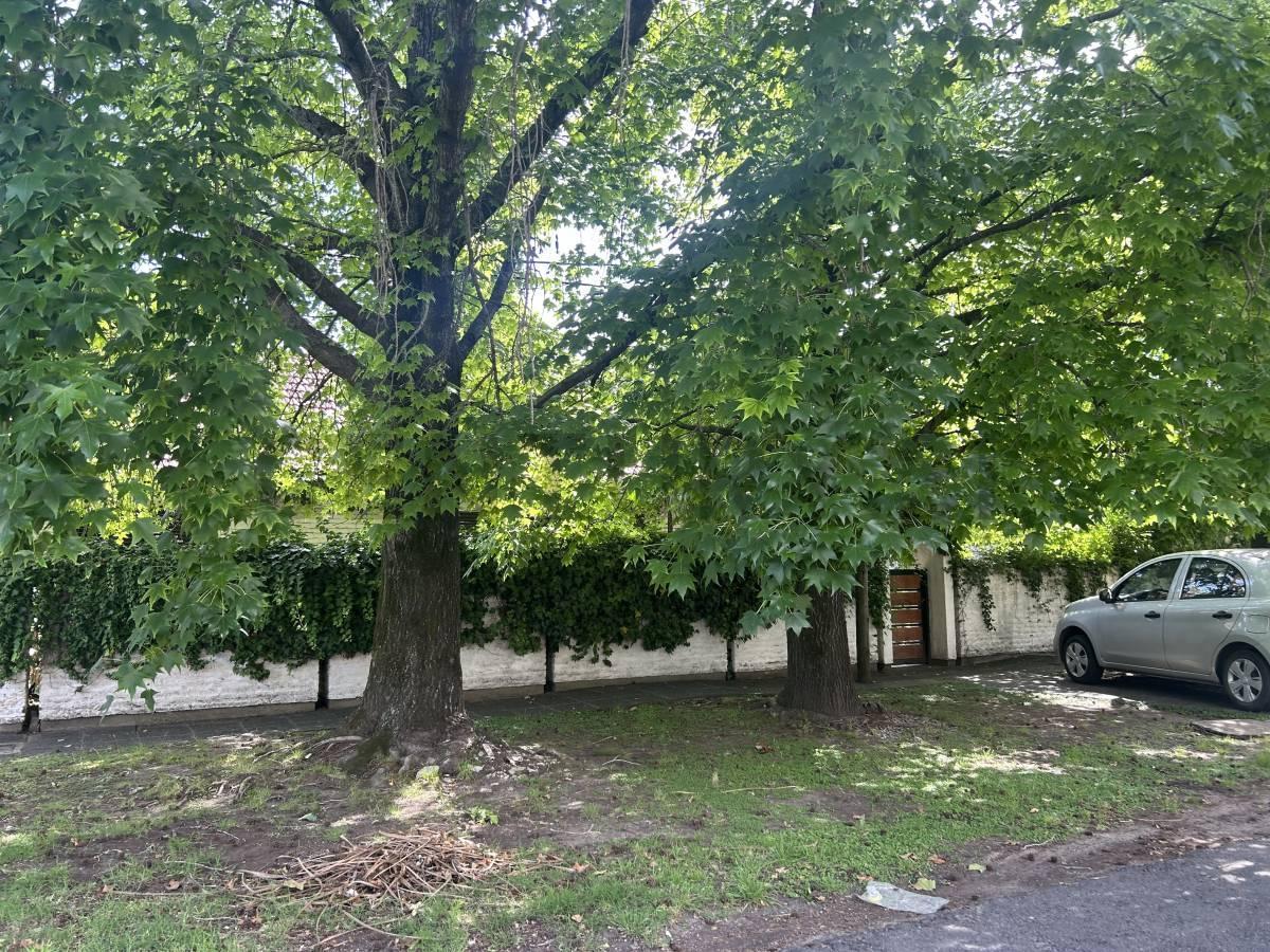 Foto de venta gonnet salida a 2 calles ( ideal desarrolador ), imagen 1