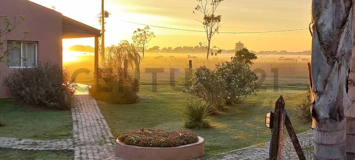 Foto de VENTA COMPLEJO DE CABAÑAS CAÑUELAS, imagen 5