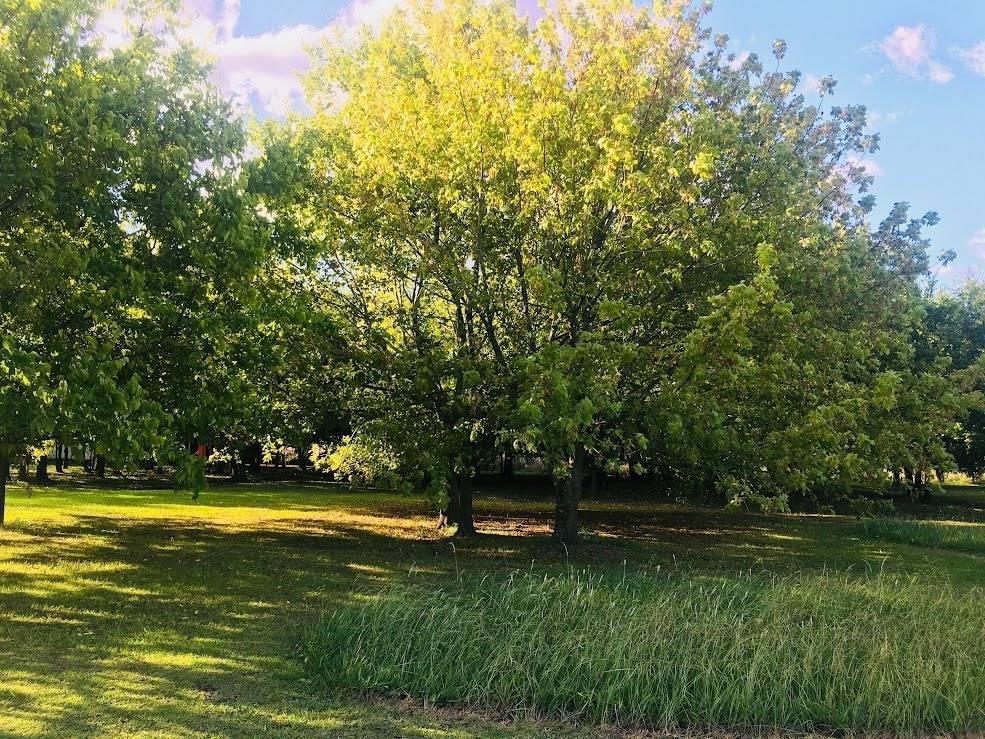 Foto de City Bell , fraccion en venta , ideal campo deportes Gran Parque Y casa, imagen 4
