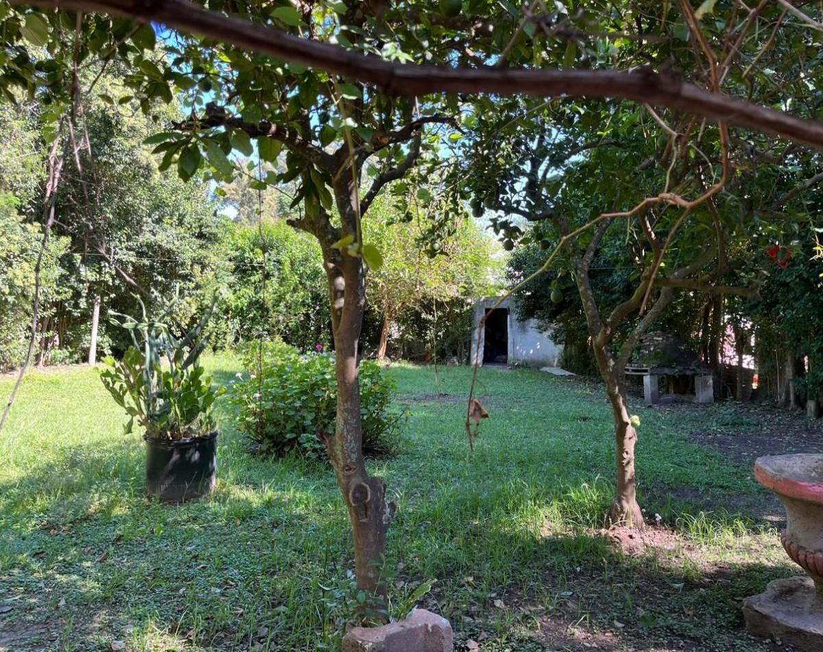 Casa Quinta a Refaccionar en Sauce, Ubicacion Privilegiada! 2