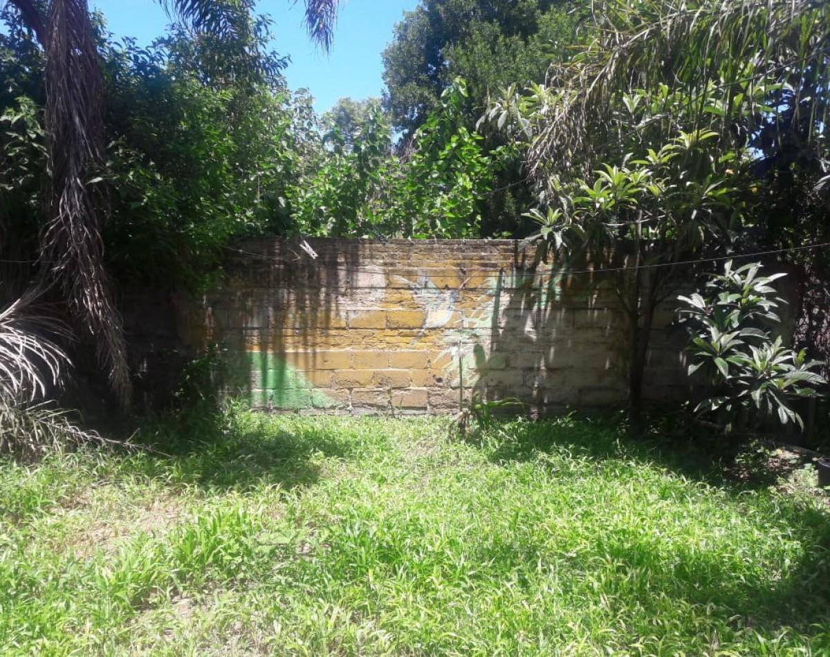 Casa Interna a La Venta 2