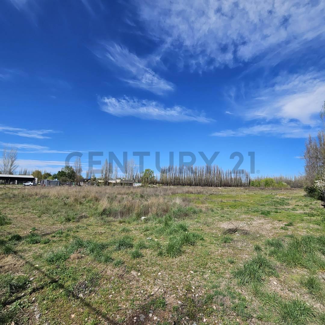 Foto de VENTA CHACRA 3.14 HECTÁREAS – PLOTTIER ZONA URBANA, imagen 3