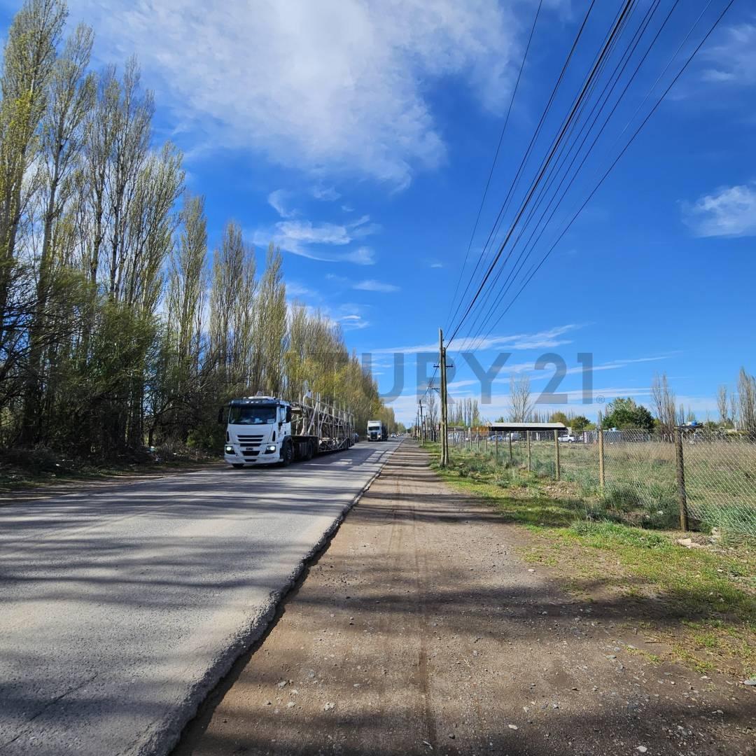 Foto de VENTA CHACRA 3.14 HECTÁREAS – PLOTTIER ZONA URBANA, imagen 4