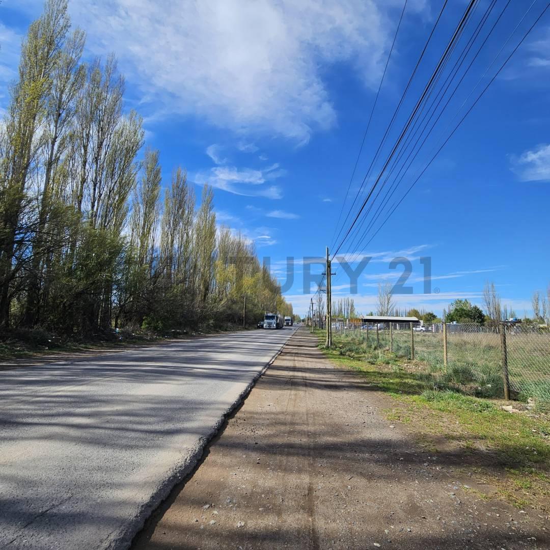 Foto de VENTA CHACRA 3.14 HECTÁREAS – PLOTTIER ZONA URBANA, imagen 1